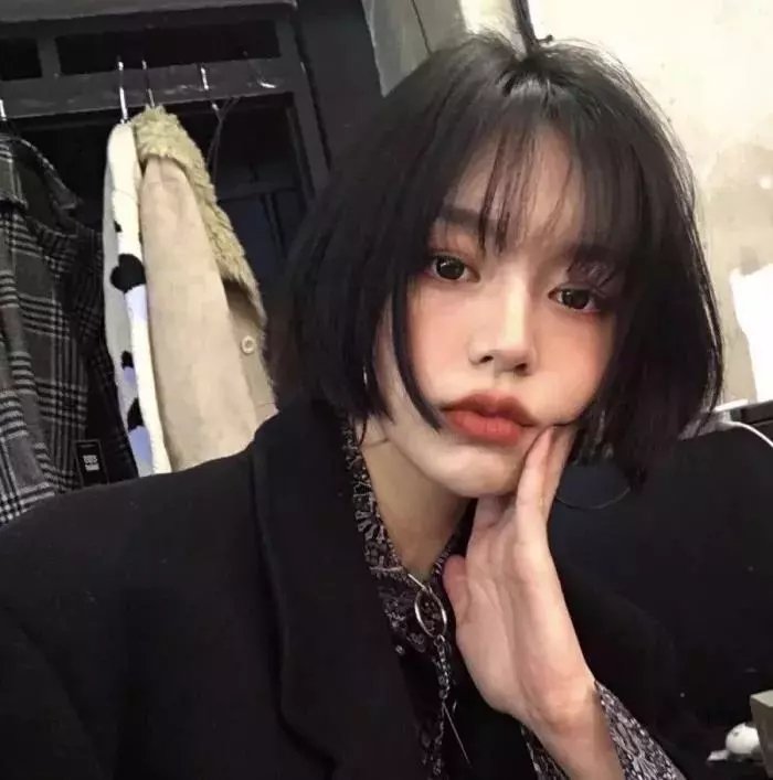 龙年档案